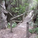 Sentiero ad Acebron (foto L. Giraudo)